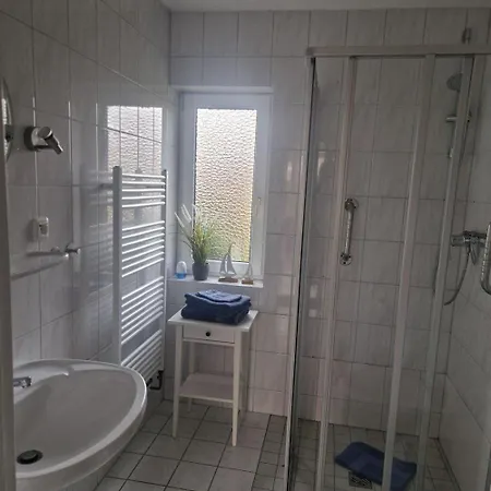 Rotbuche * Ruhwinkel